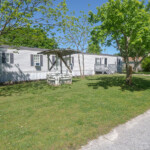 home with trees in yard